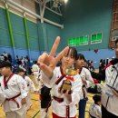 글로벌 태권도장 이미지