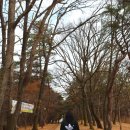 충혼탑공중화장실 이미지