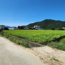 광명마을회관 이미지