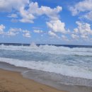 동해바다 이미지