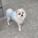 보담동물병원 이미지