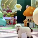 야옹아 멍멍해봐 미용실 이미지