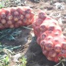 땅끝농장 이미지