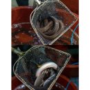 김포민물장어구이 이미지