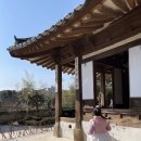 오죽헌/시립박물관 주차장 네이버블로그