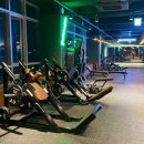 짐킬러웨일 이미지