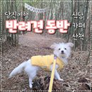 읍성숯불구이 | 당진 애견동반 식당과 카페, 산책지 소개