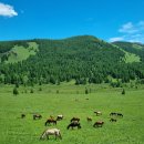 초원주유소 이미지