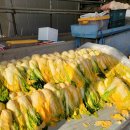 다꽃한의원 이미지