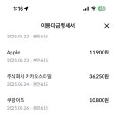 이런 apple결제 머가된건지 모르눈데 어케알지 이미지