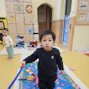 가호동12 Daum카페