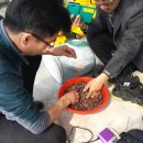 바람뜰농장 이미지