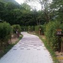 금대자동차야영장(치악산국립공원) 이미지