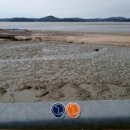 몽산포주차장 이미지