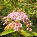 한강시민공원(자연학습장) 이미지