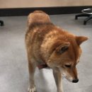 동천동행정복지센터 이미지