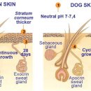 척척 동물의료센터 이미지
