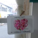 솔잎향기 이미지