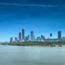 팽브로우 이미지