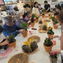 광산축산 이미지