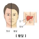 췌장 전이암[Pancreatic metastasis]소화기질환, 종양혈액질환 이미지