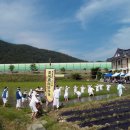자인단오제전수교육관 네이버블로그