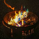 낭만애견 이미지