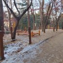 수봉공원 (유아숲체험원) 이미지