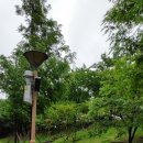 포항철길숲 이미지