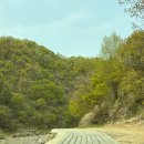 연천 스톤브룩캠핑장｜주상절리 | B24 사이트