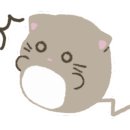 진투어여행사