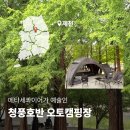 [제천 캠핑장] 호수뷰도 멋지지만 메타세콰이어가 예술인 청풍호반 오토캠핑장 A-8 구역 후기