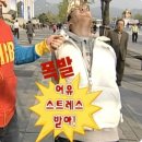 만성가든 네이버블로그