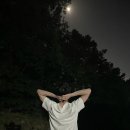 개맛도리 이미지