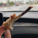 도안닭집 이미지