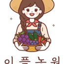 협동조합 이플 이미지