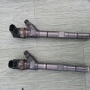 전라카센타 이미지