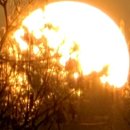 일동농장 이미지