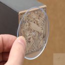 모두의식탁 이미지