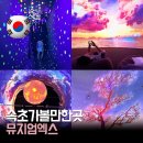 속초 가볼만한 곳 뮤지엄 엑스 후기｜오픈런 하니 대기 없이 즐긴 체험형 전시