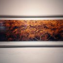 김영갑갤러리두모악 이미지