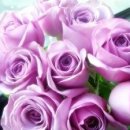 하늘플라워 이미지