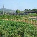 성남동 2497 이미지