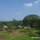 메이 캠프 이미지