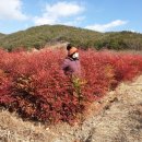 상가농장 이미지