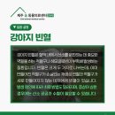 제주24시숨동물의료센터 이미지