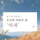우아한바람