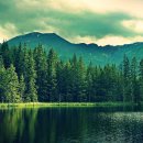 초록풍경 이미지