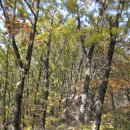 깊어가는 가을 산에서 즐기는 `느림보의 미학` 공작산(`13.10.26) 이미지
