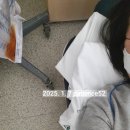 #댕댕댕 이미지